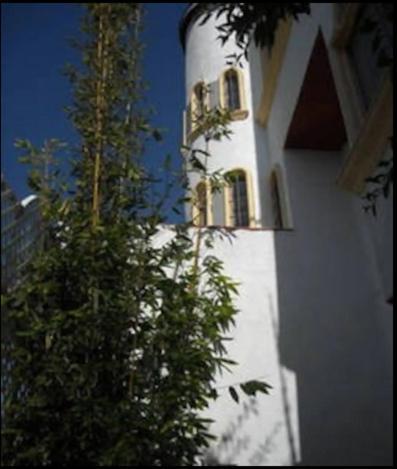 Welcome To Casa Viva Mexico 3-Bedrooms 2-Bathroms 6-Guests Close To Shoping Center & Beach Tijuana Buitenkant foto
